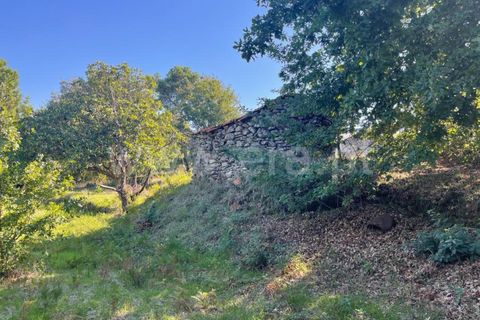 Landejendom i Mangualde, Viseu, Mangualde - € 60.000 | Ref: 389230196 - foto 11