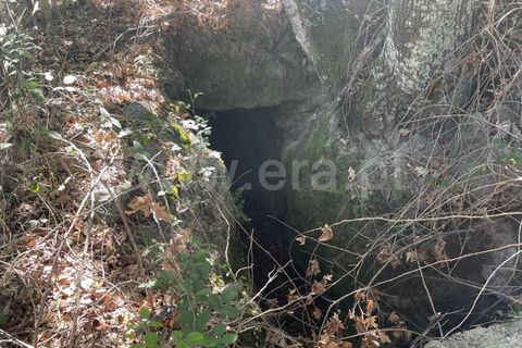 Landejendom i Mangualde, Viseu, Mangualde - € 60.000 | Ref: 389230196 - foto 12