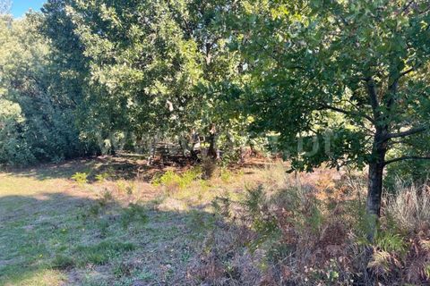 Landejendom i Mangualde, Viseu, Mangualde - € 60.000 | Ref: 389230196 - foto 14
