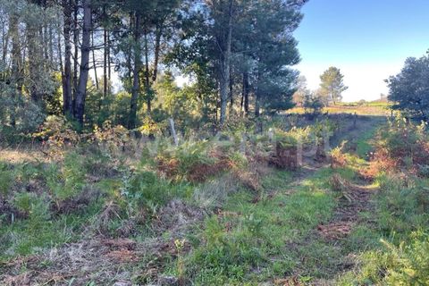 Landejendom i Mangualde, Viseu, Mangualde - € 60.000 | Ref: 389230196 - foto 15