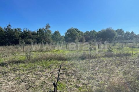 Landejendom i Mangualde, Viseu, Mangualde - € 60.000 | Ref: 389230196 - foto 16