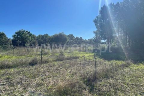 Landejendom i Mangualde, Viseu, Mangualde - € 60.000 | Ref: 389230196 - foto 17