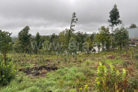 Helårsgrund i Mangualde, Viseu, Mangualde - € 90.000 | Ref: 389230211 - foto 2