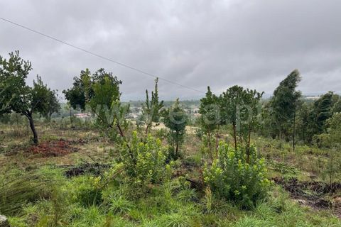 Helårsgrund i Mangualde, Viseu, Mangualde - € 90.000 | Ref: 389230211 - foto 4