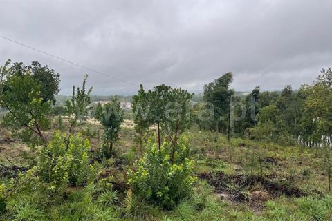 Helårsgrund i Mangualde, Viseu, Mangualde - € 90.000 | Ref: 389230211 - foto 5