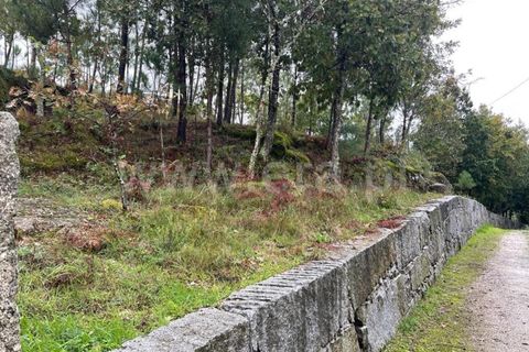 Helårsgrund i Mangualde, Viseu, Mangualde - € 90.000 | Ref: 389230211 - foto 6