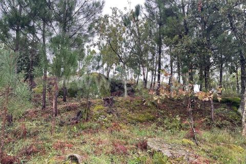Helårsgrund i Mangualde, Viseu, Mangualde - € 90.000 | Ref: 389230211 - foto 7