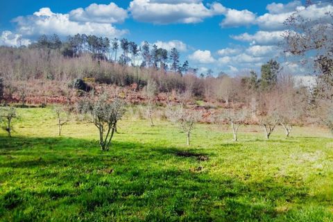 Helårsgrund i Mangualde, Viseu, Mangualde - € 14.000 | Ref: 389240034 - foto 2