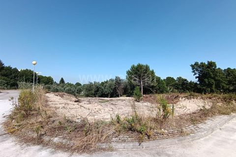 Terra a Nelas, Viseu, Nelas - € 50.000 | Ref: 389240093 - foto 2