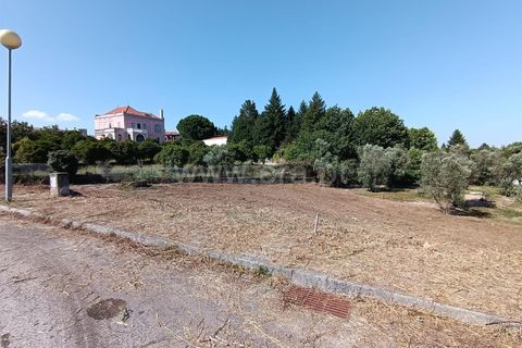 Terra a Nelas, Viseu, Nelas - € 50.000 | Ref: 389240093 - foto 4