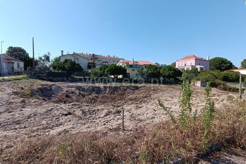 Terra a Nelas, Viseu, Nelas - € 50.000 | Ref: 389240093 - foto 6
