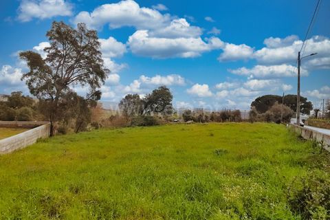 Helårsgrund i Nelas, Viseu, Nelas - € 39.900 | Ref: 389240099 - foto 3