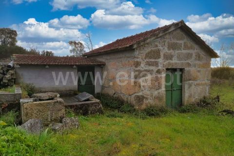 Terra a Nelas, Viseu, Nelas - € 19.900 | Ref: 389240100 - foto 2