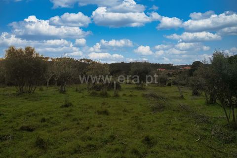 Terra a Nelas, Viseu, Nelas - € 19.900 | Ref: 389240100 - foto 3