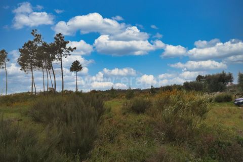 Terra a Nelas, Viseu, Nelas - € 19.900 | Ref: 389240100 - foto 4