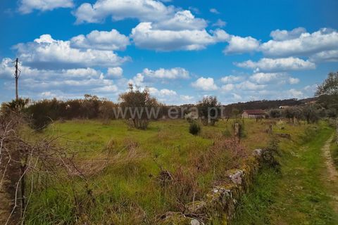 Terra a Nelas, Viseu, Nelas - € 19.900 | Ref: 389240100 - foto 5