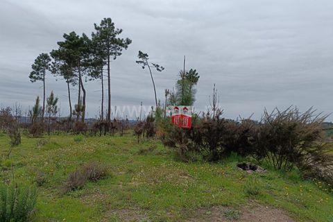 Terra a Nelas, Viseu, Nelas - € 19.900 | Ref: 389240100 - foto 6