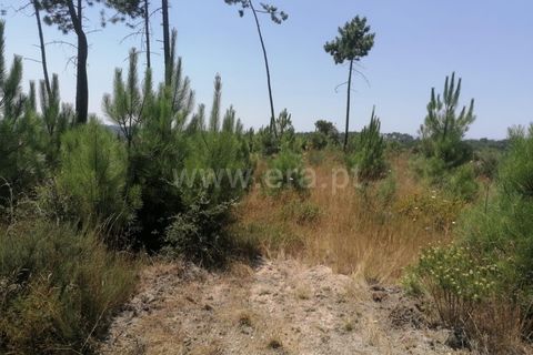 Terra a Nelas, Viseu, Nelas - € 19.900 | Ref: 389240105 - foto 2