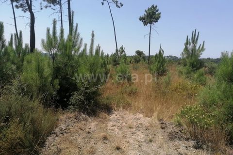 Terra a Nelas, Viseu, Nelas - € 19.900 | Ref: 389240105 - foto 4