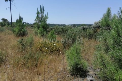 Terra a Nelas, Viseu, Nelas - € 19.900 | Ref: 389240105 - foto 5