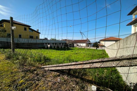 Helårsgrund i Mangualde, Viseu, Mangualde - € 58.000 | Ref: 389240189 - foto 3