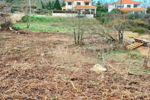 Helårsgrund i Mangualde, Viseu, Mangualde - € 25.000 | Ref: 389250019 - foto 6