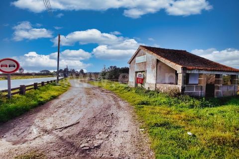 Byhus i Nelas, Viseu, Nelas - € 26.000 | Ref: 389240017 - foto 3