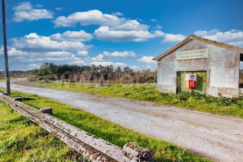 Byhus i Nelas, Viseu, Nelas - € 26.000 | Ref: 389240017 - foto 4