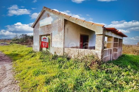 Byhus i Nelas, Viseu, Nelas - € 26.000 | Ref: 389240017 - foto 5