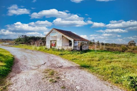 Byhus i Nelas, Viseu, Nelas - € 26.000 | Ref: 389240017 - foto 6