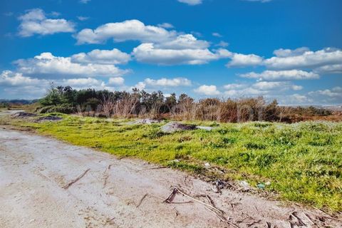 Byhus i Nelas, Viseu, Nelas - € 26.000 | Ref: 389240017 - foto 7
