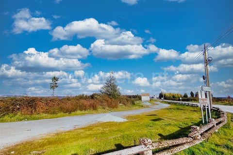 Byhus i Nelas, Viseu, Nelas - € 26.000 | Ref: 389240017 - foto 9