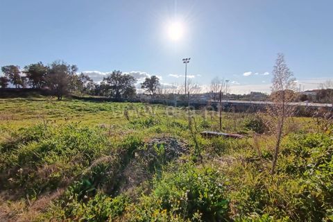 Helårsgrund i Tondela, Viseu, Tondela - € 37.000 | Ref: 389250031 - foto 3