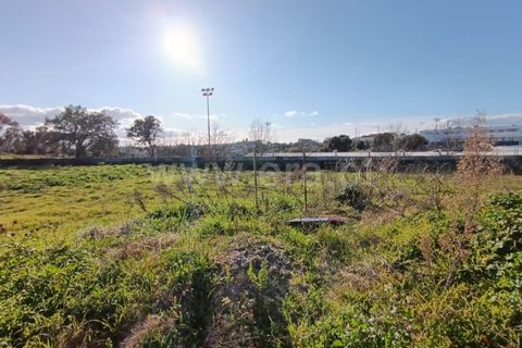Helårsgrund i Tondela, Viseu, Tondela - € 37.000 | Ref: 389250031 - foto 5