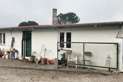 Landejendom i Mangualde, Viseu, Mangualde - € 45.000 | Ref: 389250033 - foto 1