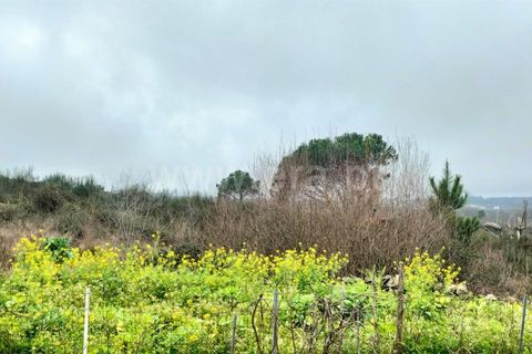 Landejendom i Mangualde, Viseu, Mangualde - € 45.000 | Ref: 389250033 - foto 2