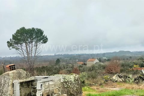 Landejendom i Mangualde, Viseu, Mangualde - € 45.000 | Ref: 389250033 - foto 3