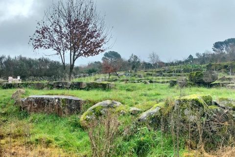 Landejendom i Mangualde, Viseu, Mangualde - € 45.000 | Ref: 389250033 - foto 5