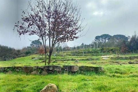 Landejendom i Mangualde, Viseu, Mangualde - € 45.000 | Ref: 389250033 - foto 6