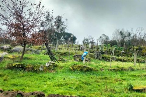 Landejendom i Mangualde, Viseu, Mangualde - € 45.000 | Ref: 389250033 - foto 7
