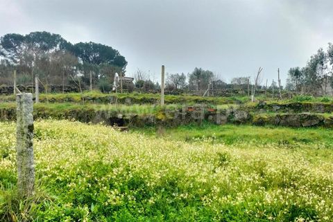 Landejendom i Mangualde, Viseu, Mangualde - € 45.000 | Ref: 389250033 - foto 8