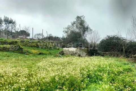 Landejendom i Mangualde, Viseu, Mangualde - € 45.000 | Ref: 389250033 - foto 9