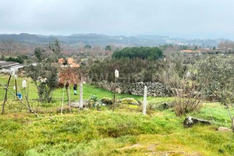 Landejendom i Mangualde, Viseu, Mangualde - € 45.000 | Ref: 389250033 - foto 11