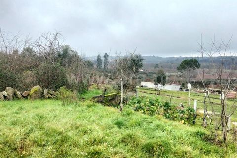 Landejendom i Mangualde, Viseu, Mangualde - € 45.000 | Ref: 389250033 - foto 14