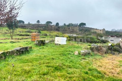 Landejendom i Mangualde, Viseu, Mangualde - € 45.000 | Ref: 389250033 - foto 15