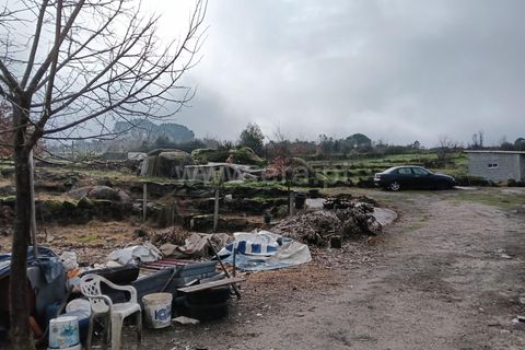 Landejendom i Mangualde, Viseu, Mangualde - € 45.000 | Ref: 389250033 - foto 17