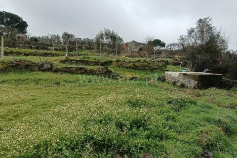 Landejendom i Mangualde, Viseu, Mangualde - € 45.000 | Ref: 389250033 - foto 23