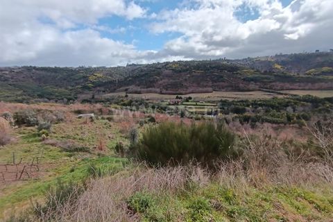 Helårsgrund i Viseu, Viseu, Viseu - € 22.900 | Ref: 389250038 - foto 4