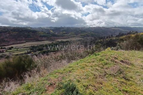 Helårsgrund i Viseu, Viseu, Viseu - € 22.900 | Ref: 389250038 - foto 5