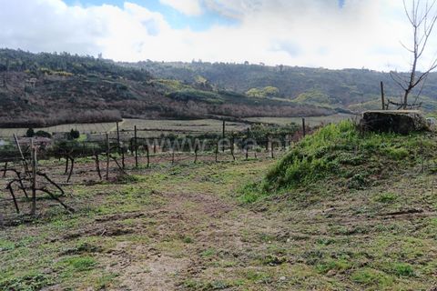 Helårsgrund i Viseu, Viseu, Viseu - € 22.900 | Ref: 389250038 - foto 12